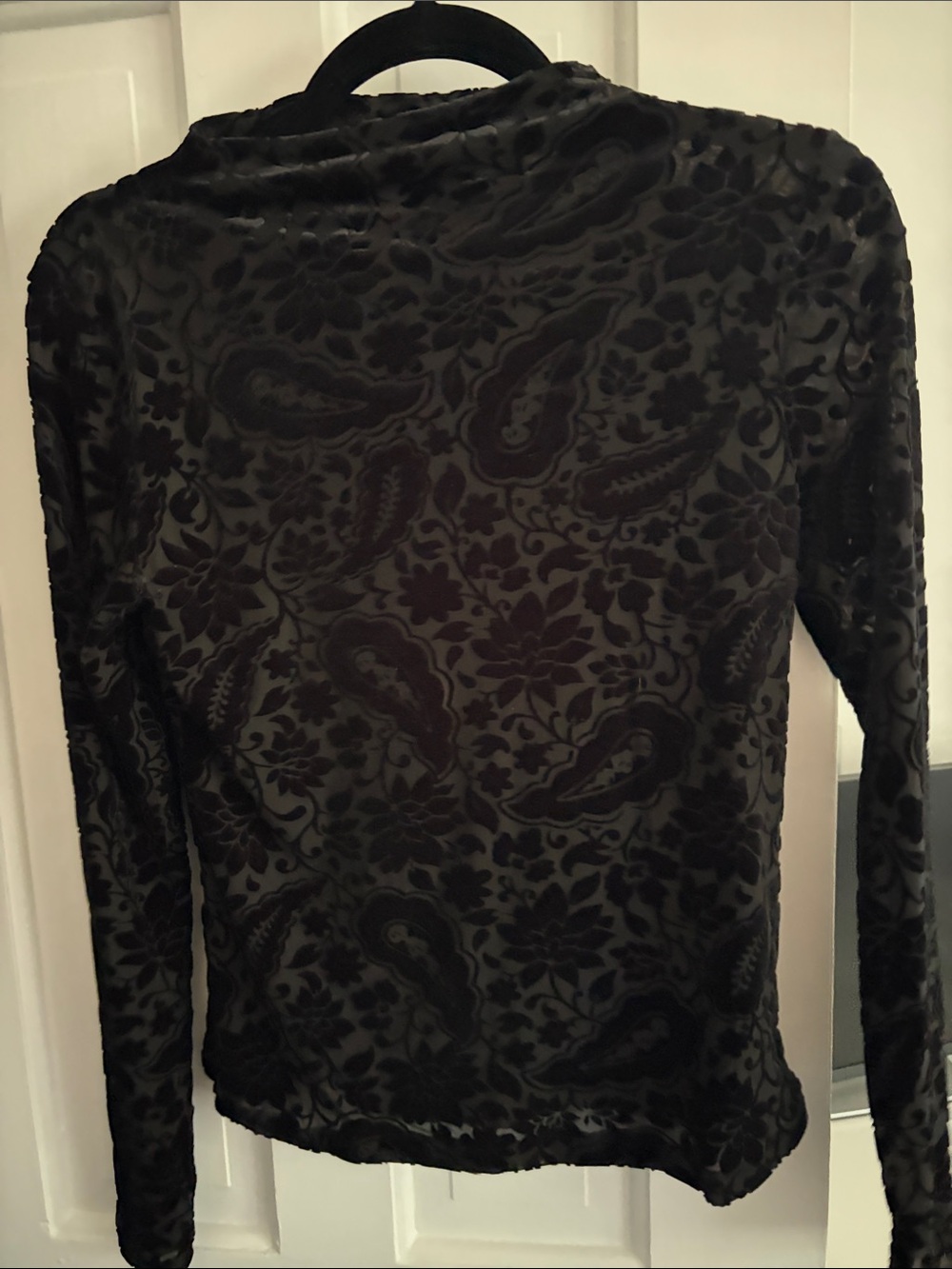 Black Shear Velvet Long Sleeve Top with Mock Neck